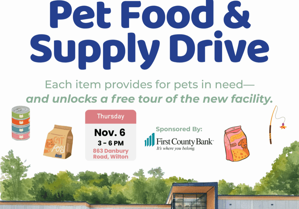 Wilton November Pet Food Drive - Event Postings